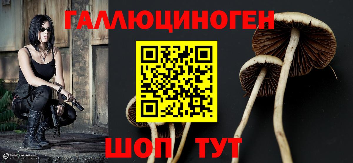 Псилоцибиновые грибы мицелий  что такое   Галлюциногенные грибы Cubensis  Кирово-Чепецк  Вход с VPN 