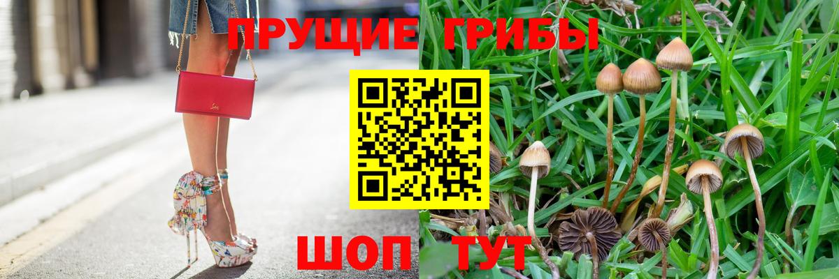 Псилоцибиновые грибы MAGIC MUSHROOMS Кирово-Чепецк